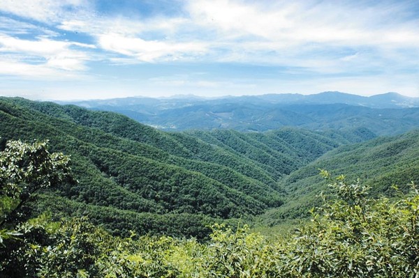 2 칠갑산 : 도림사는 소림사의 원조, 칠검의 전설, 칠성민족 [산정기담]