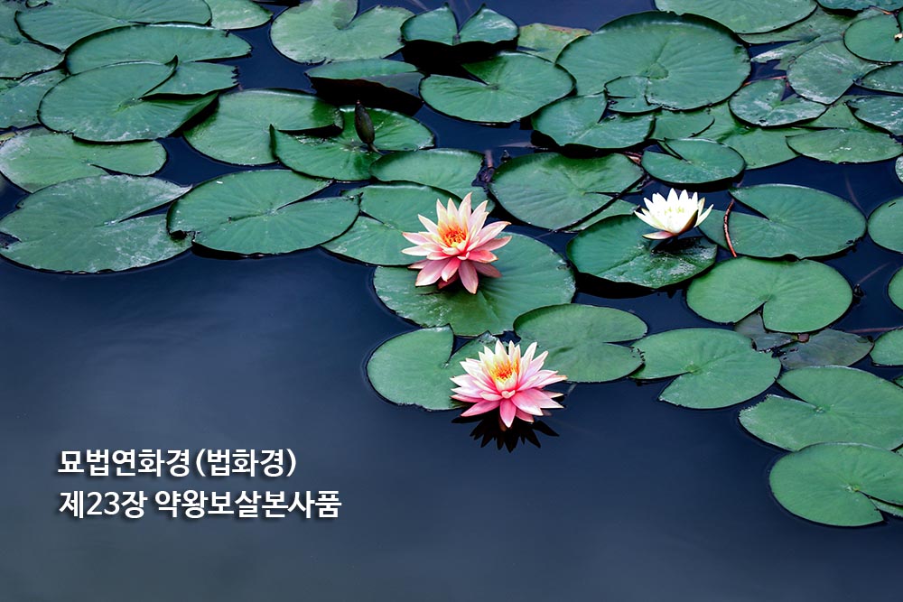 묘법연화경(법화경) 제23장 약왕보살본사품
