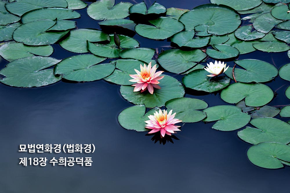 묘법연화경(법화경) 제18장 수희공덕품