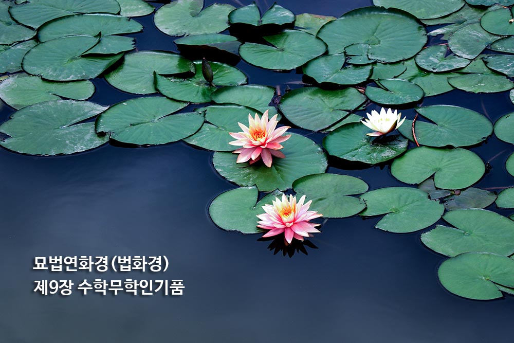 묘법연화경(법화경) 제9장 수학무학인기품