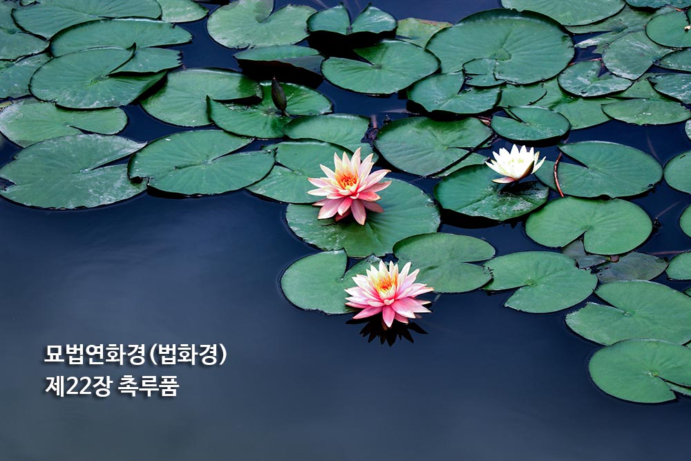 묘법연화경(법화경) 제22장 촉루품