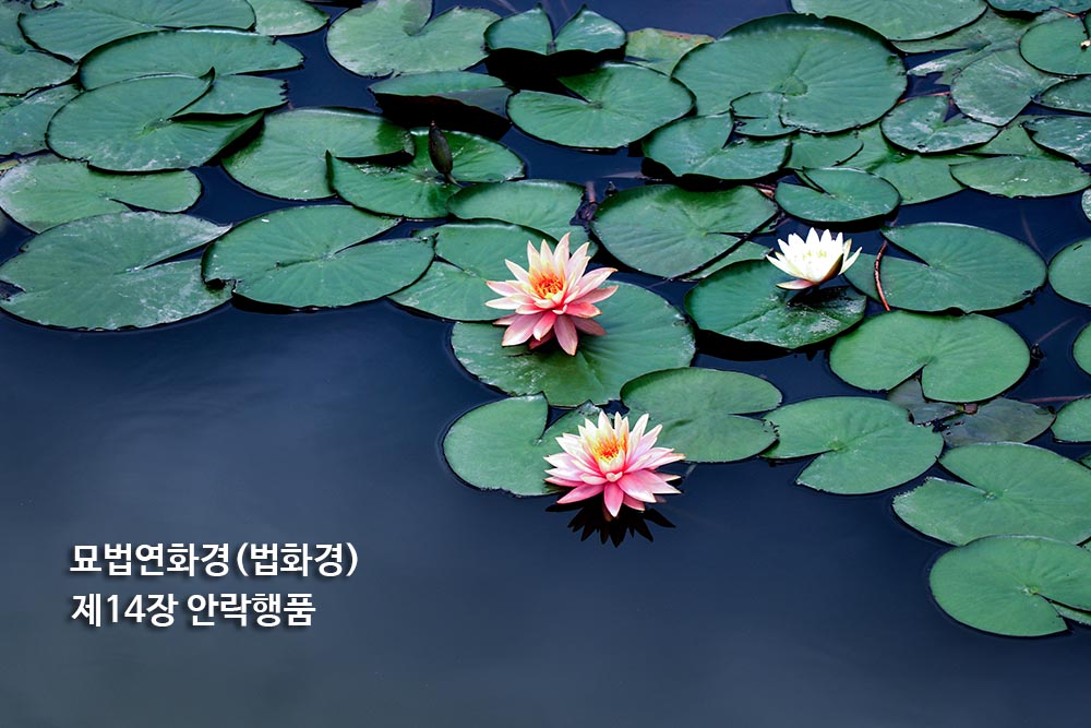 묘법연화경(법화경) 제14장 안락행품